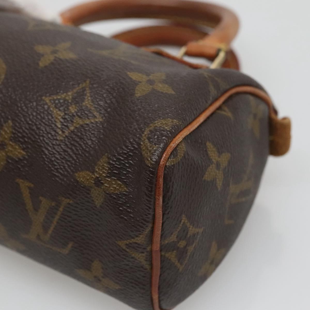Louis Vuitton Mini Speedy