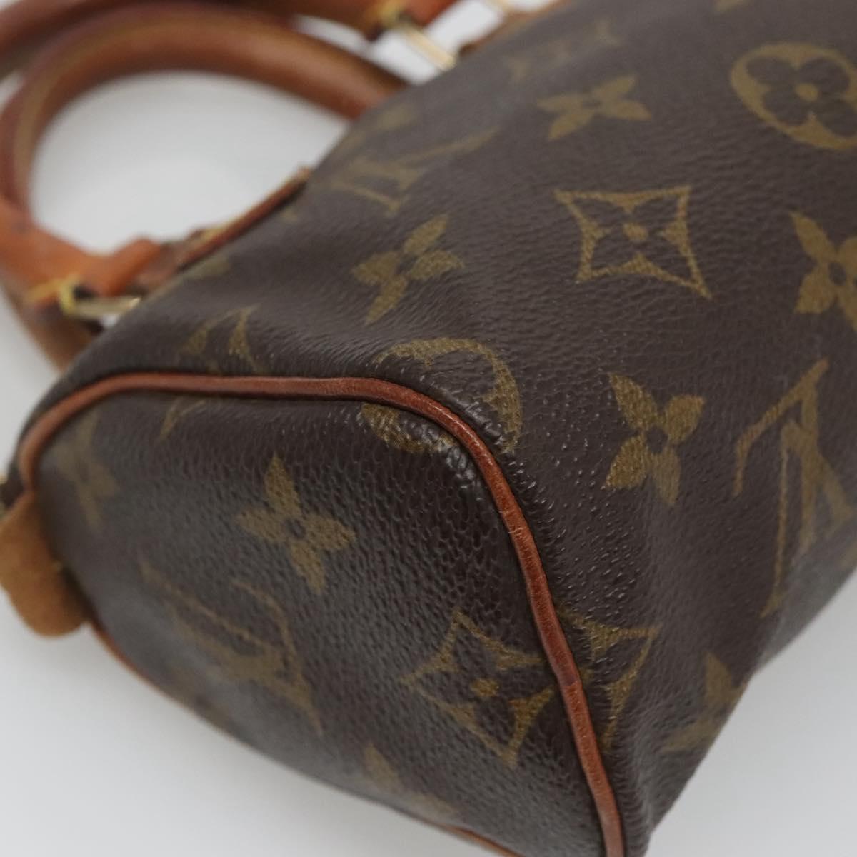 Louis Vuitton Mini Speedy