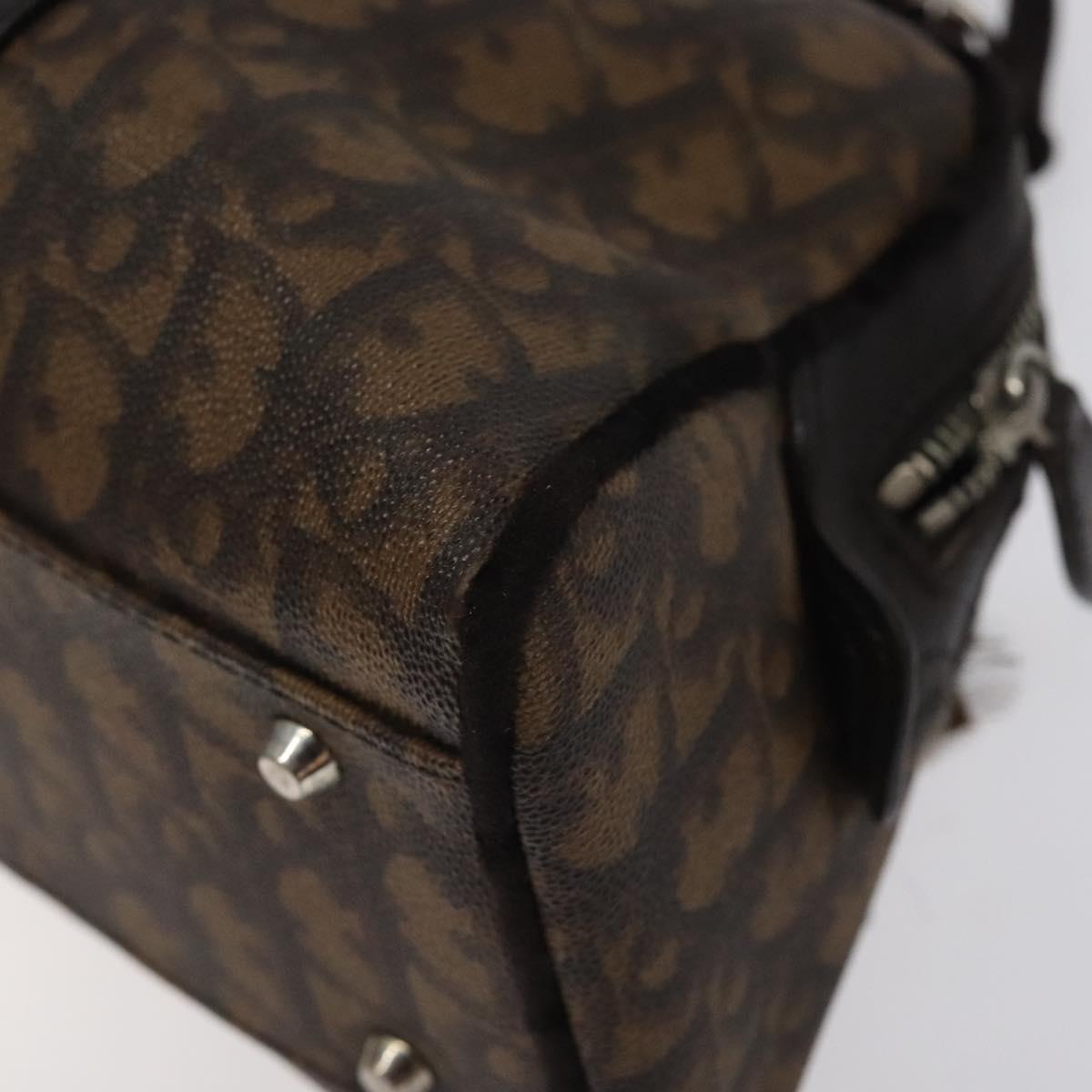 Christian Dior Trotter Brown