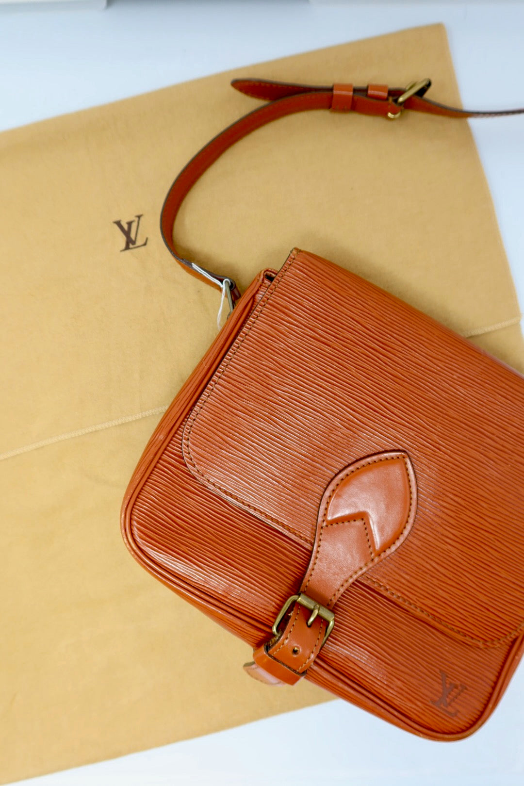 Louis Vuitton Brown Epi Leather Crossbody