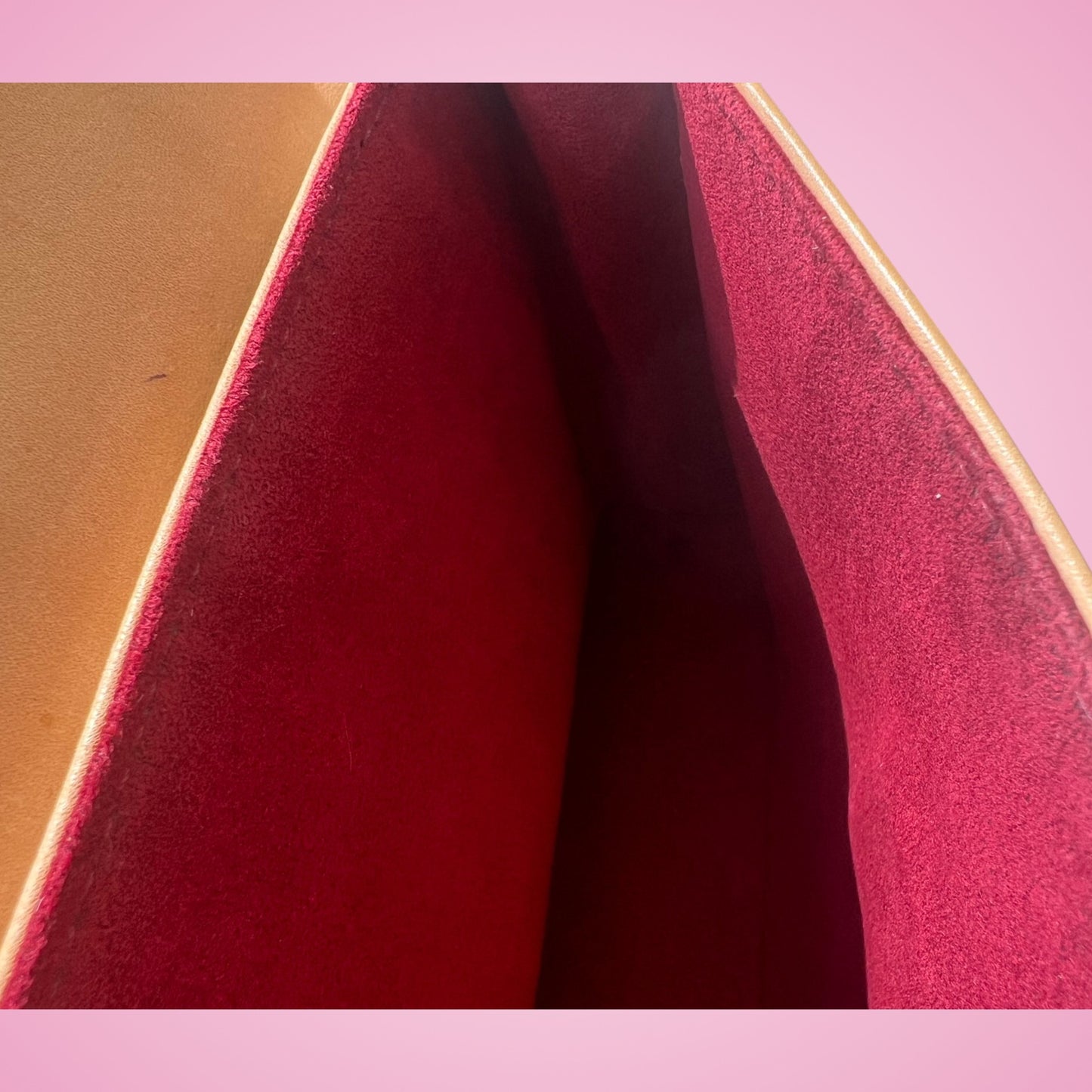 Louis Vuitton Dalmation Pochette