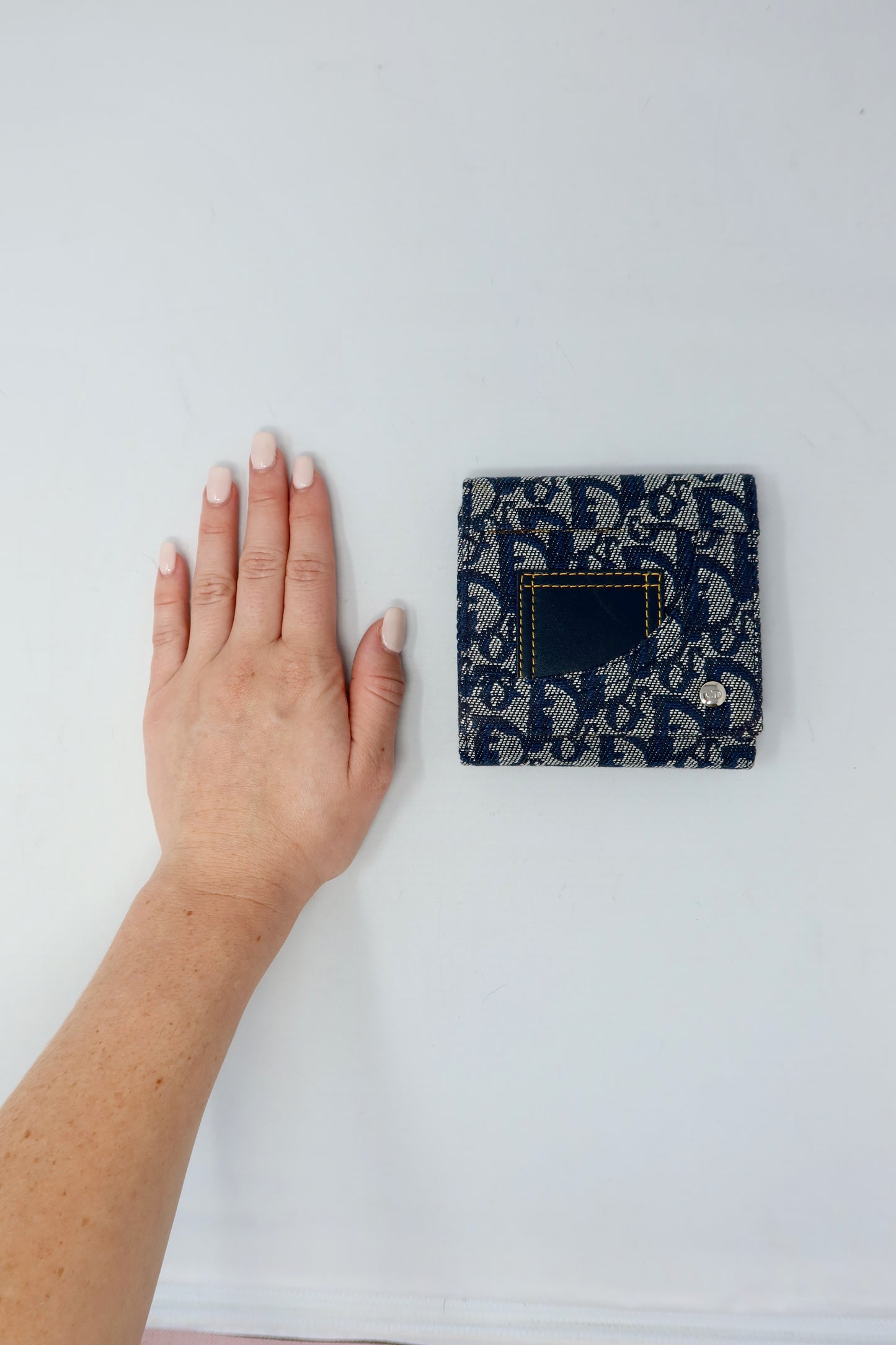 Dior Trotter Wallet