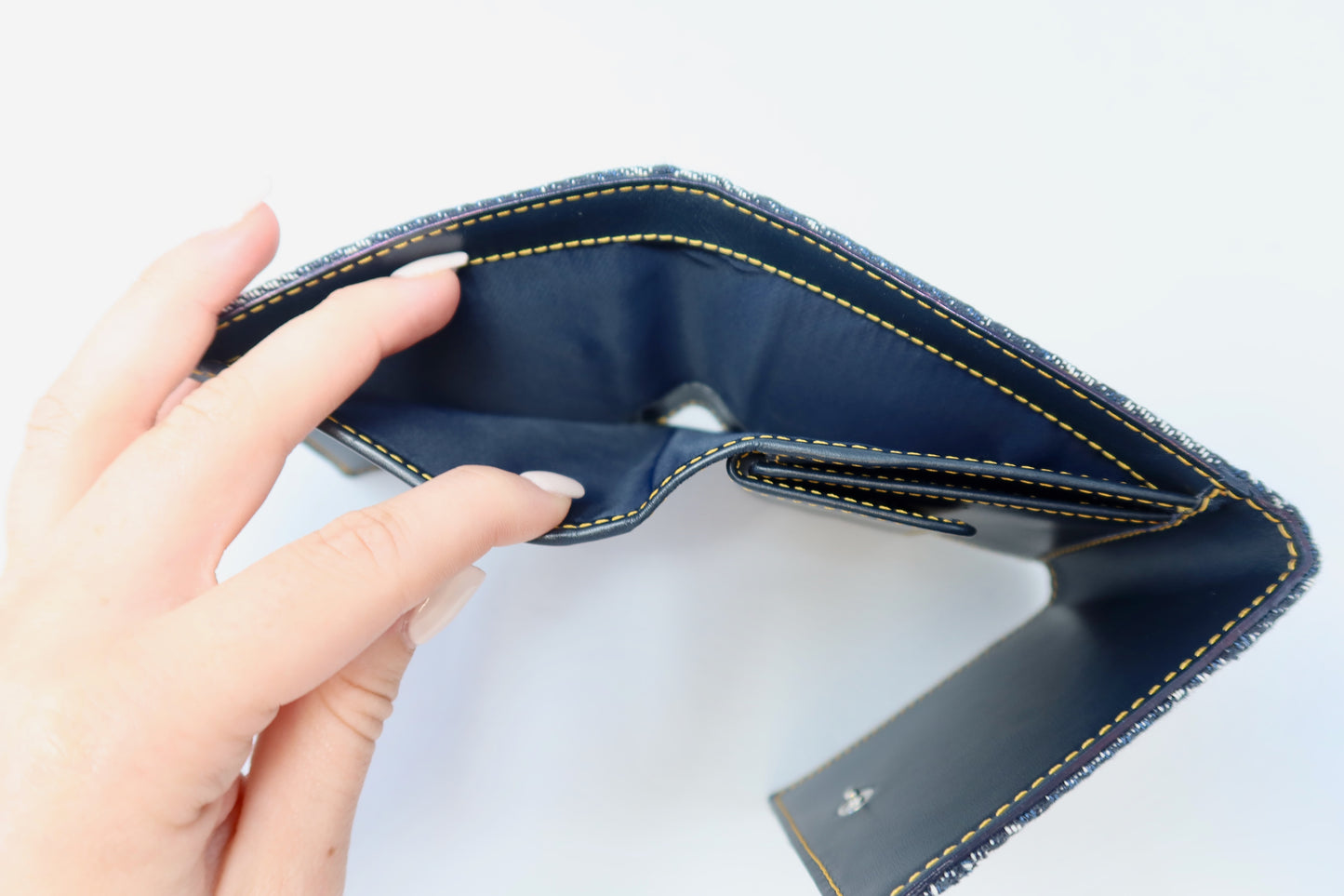 Dior Trotter Wallet