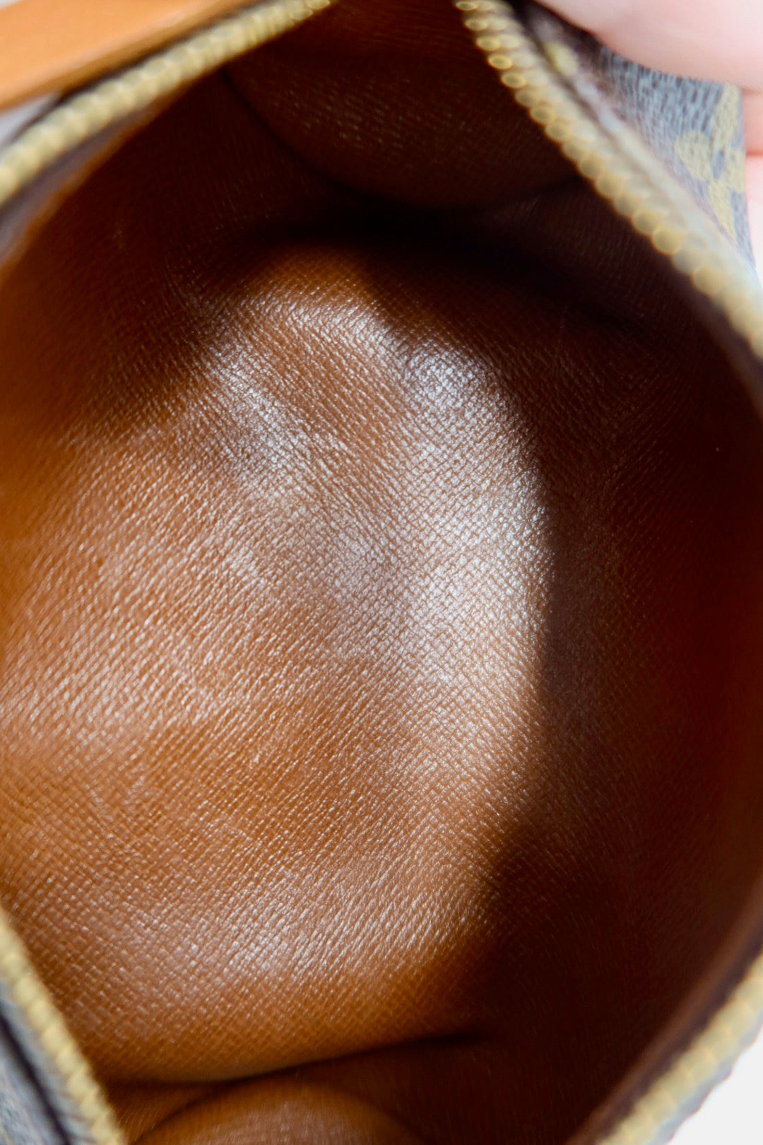 Louis Vuitton Monogram Mini Papillon