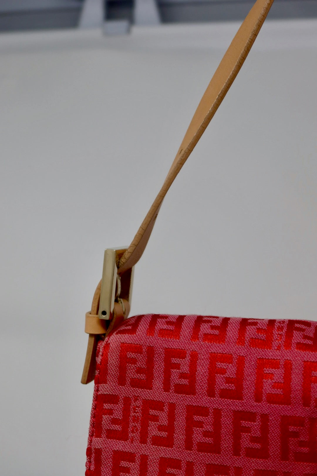 Fendi Baguette Pink Zucchino Print