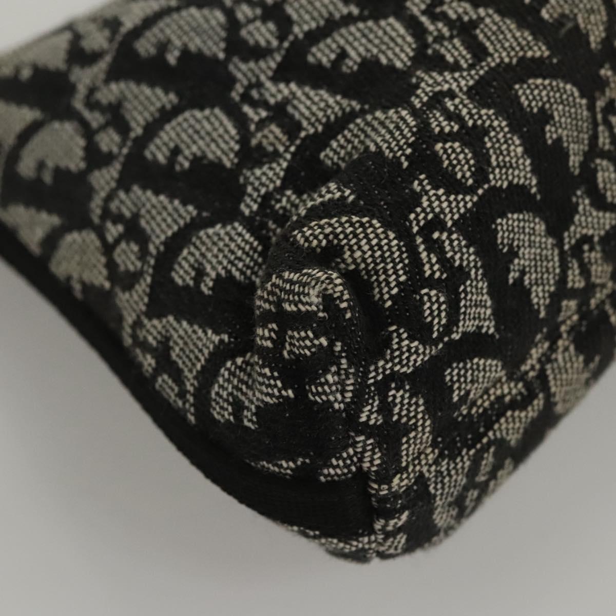 Christian Dior Trotter Canvas