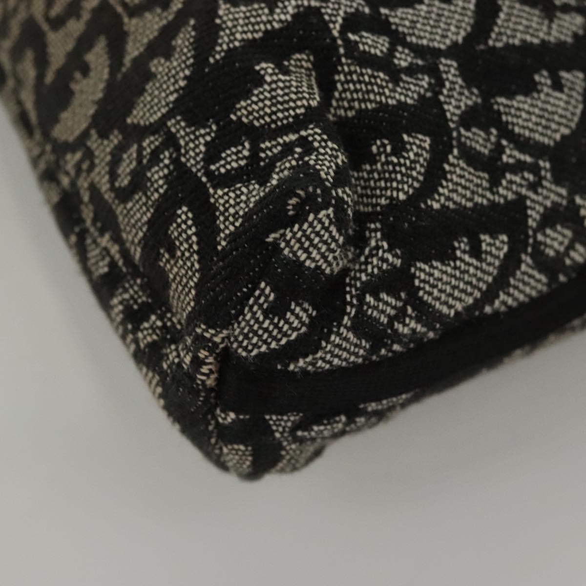 Christian Dior Trotter Canvas
