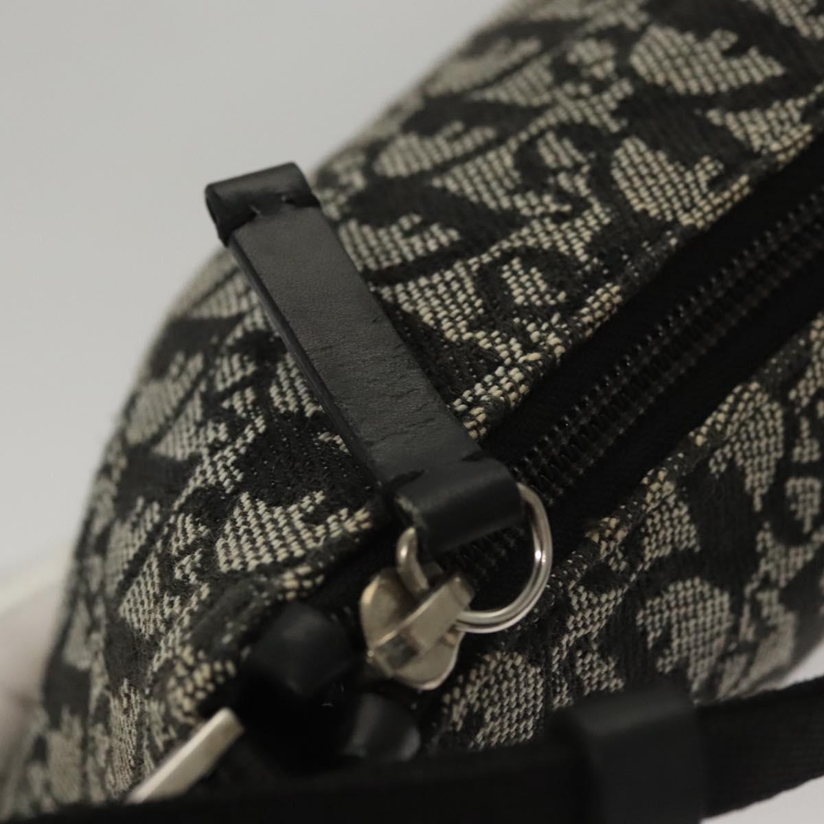 Christian Dior Trotter Canvas