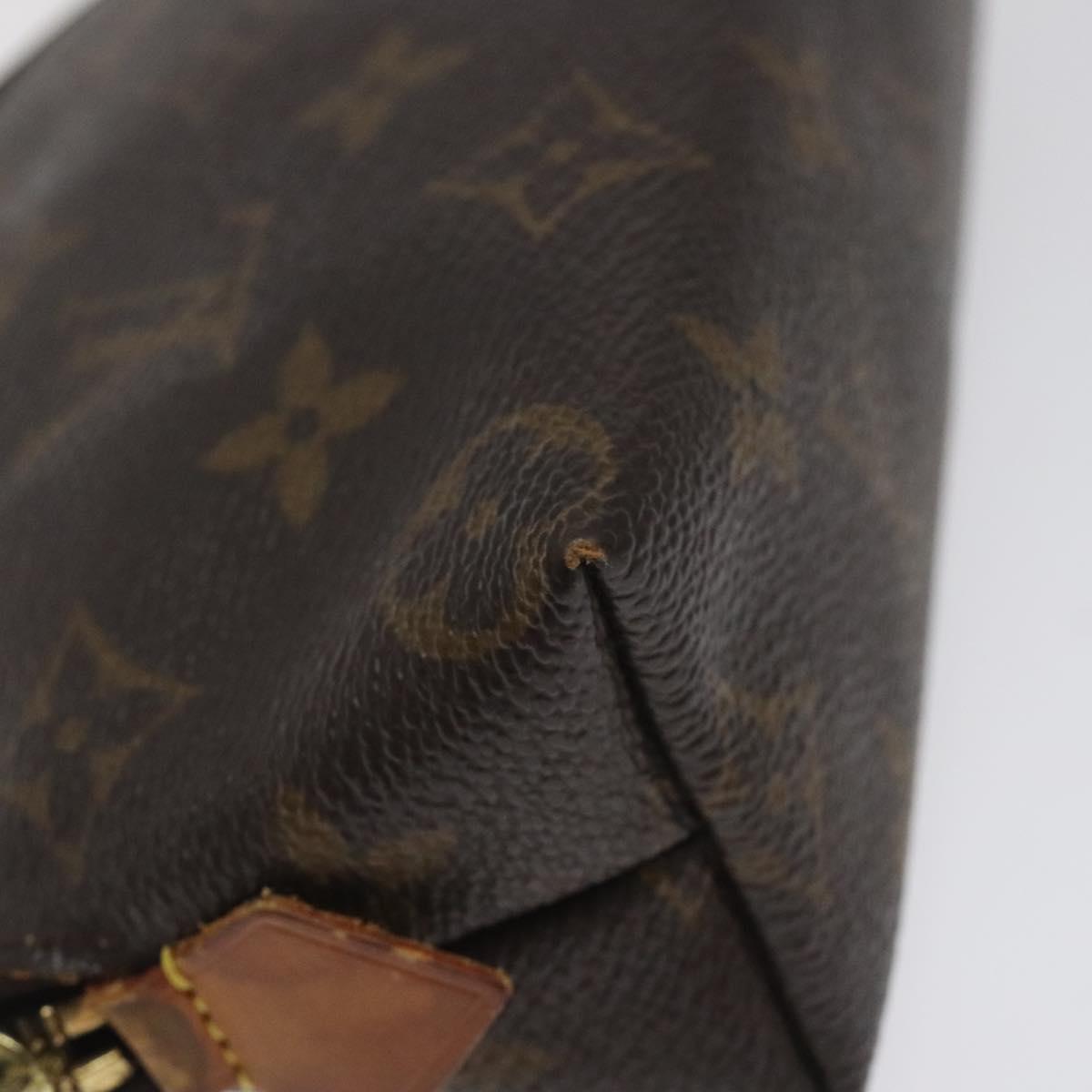 Louis Vuitton Monogram Pochette Cosmetic