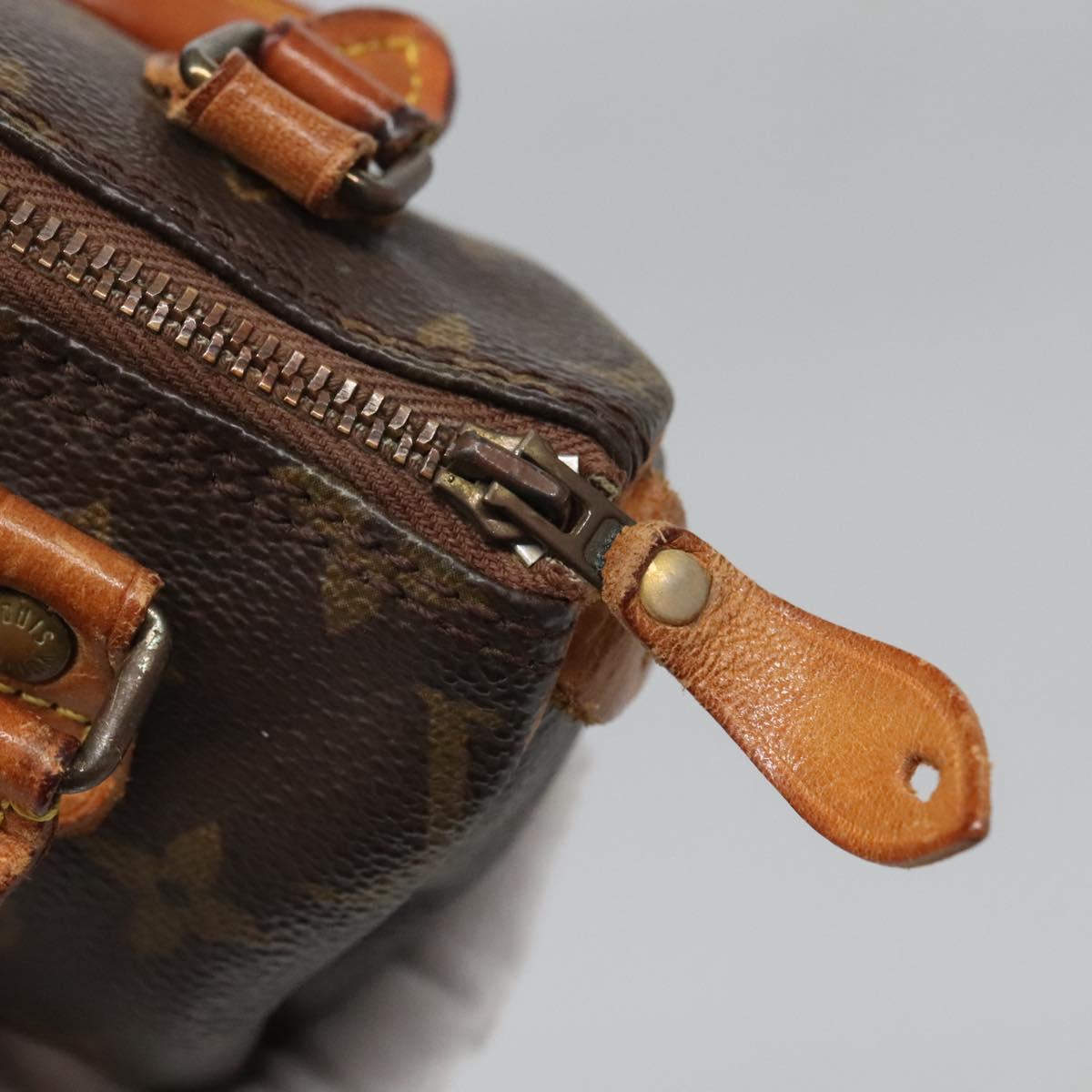 Louis Vuitton Monogram Mini Speedy