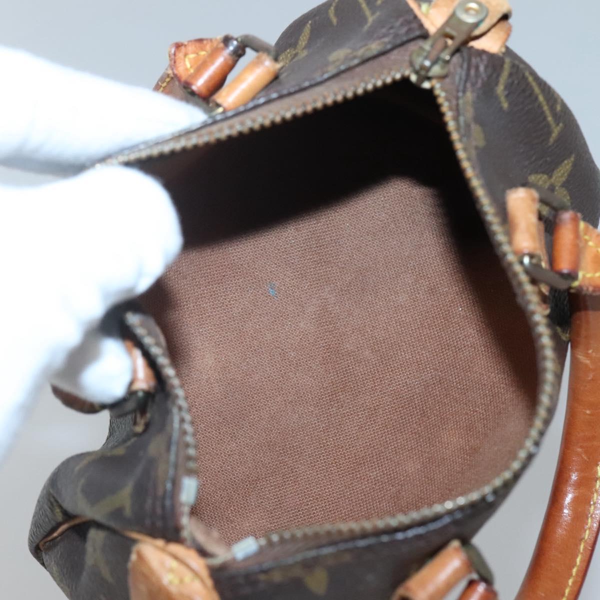 Louis Vuitton Monogram Mini Speedy