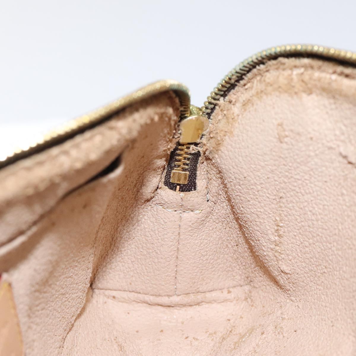 Louis Vuitton Monogram Pochette Cosmetic Pouch