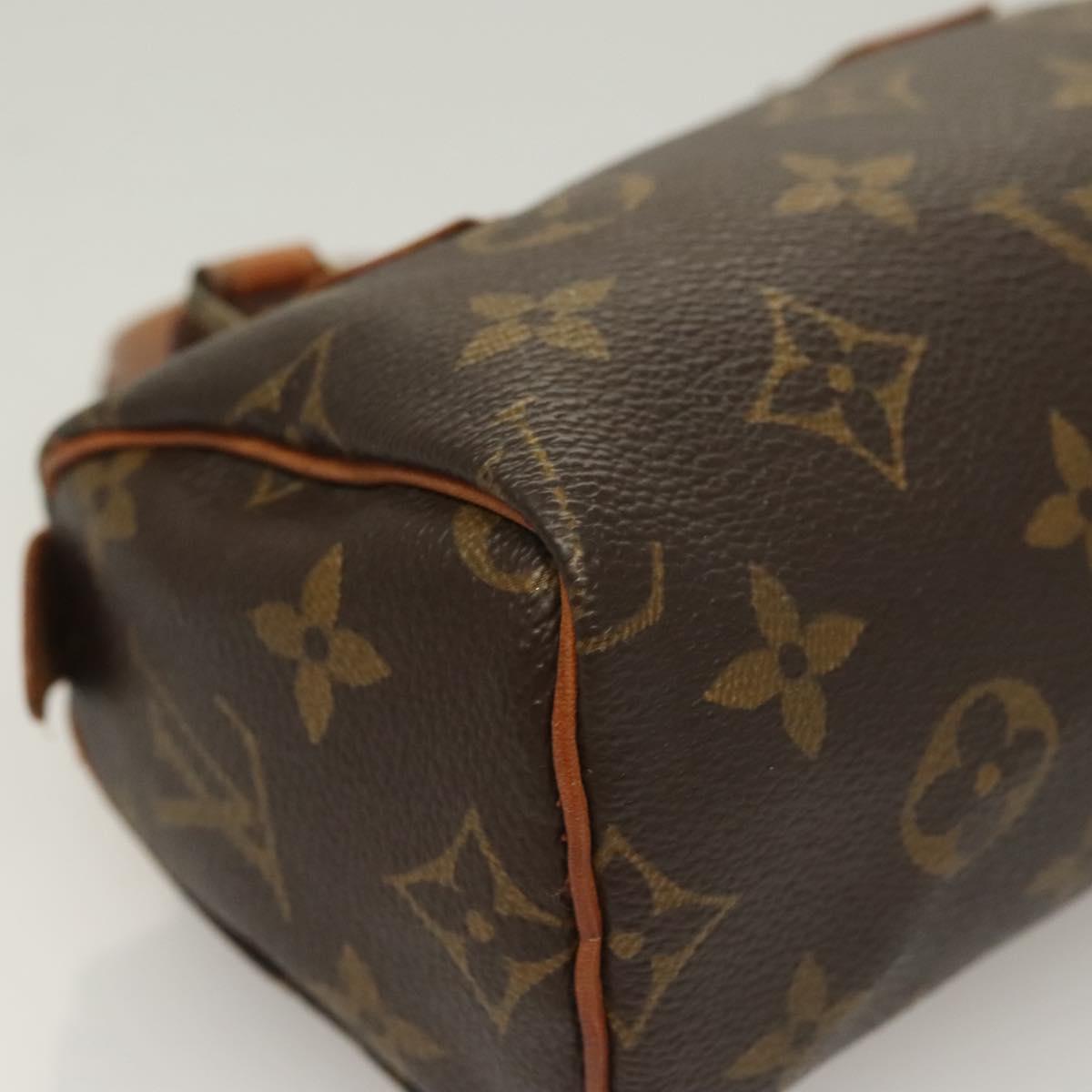 Louis Vuitton Monogram Mini Speedy