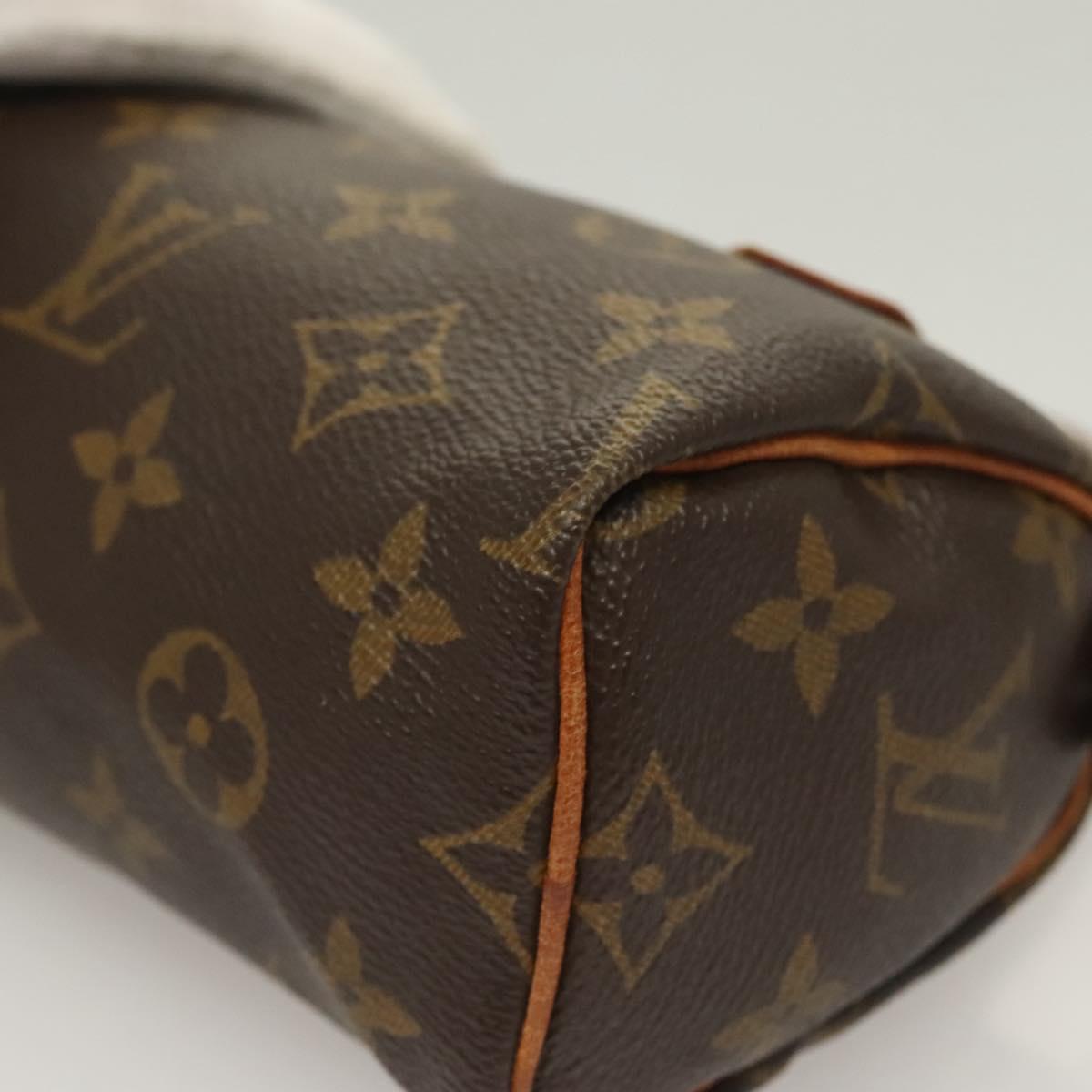 Louis Vuitton Monogram Mini Speedy