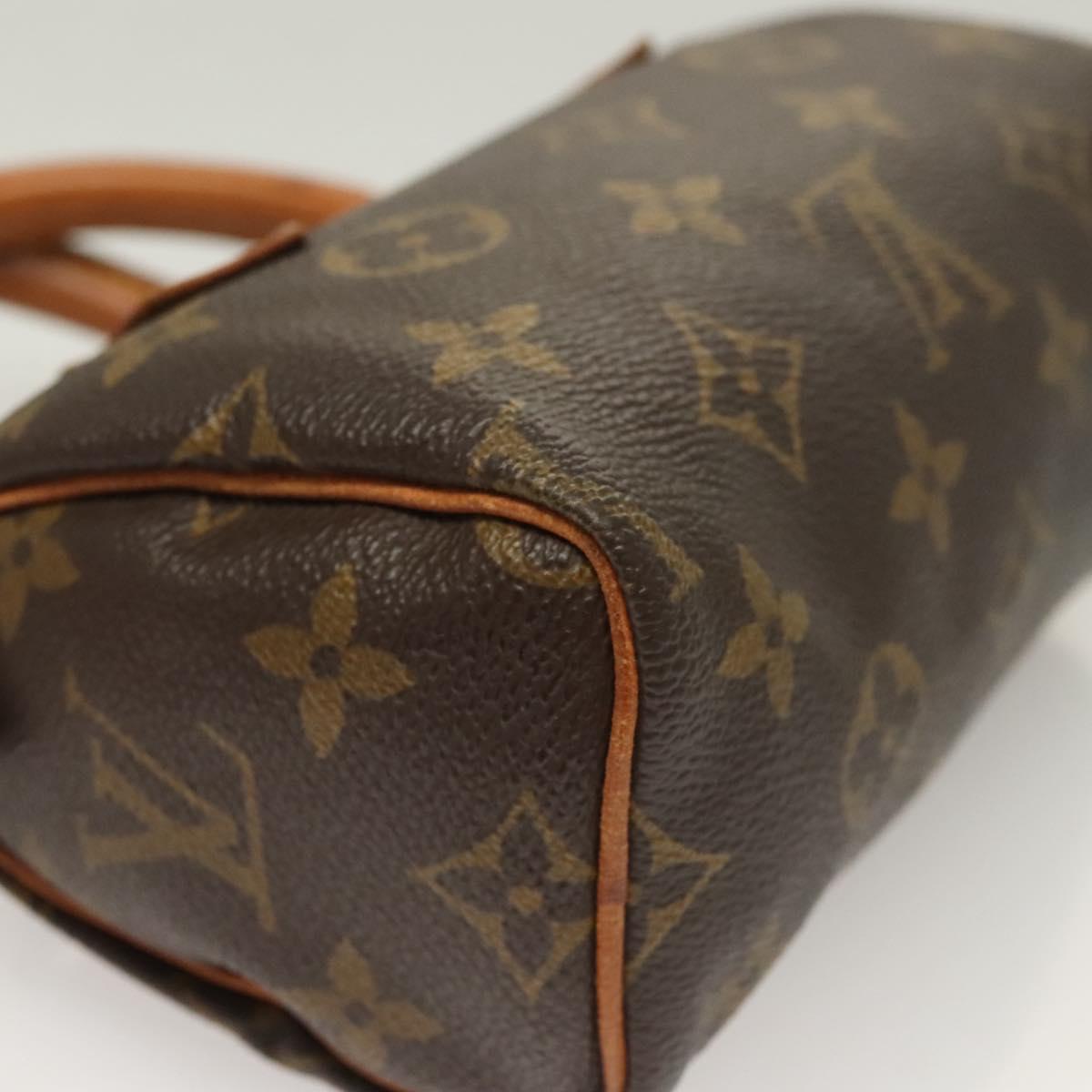 Louis Vuitton Monogram Mini Speedy