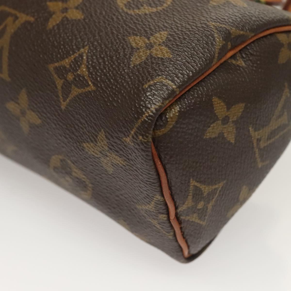 Louis Vuitton Monogram Mini Speedy