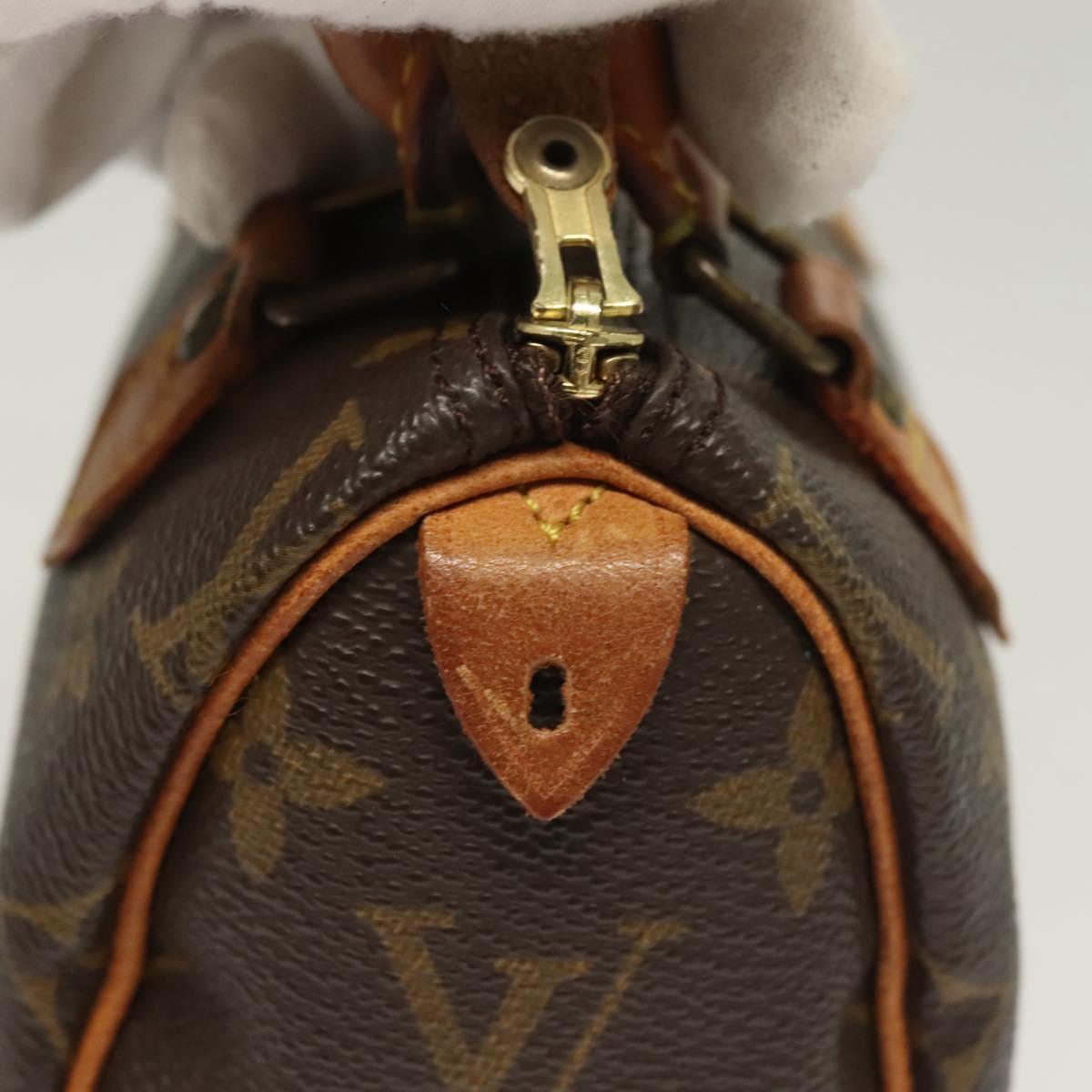 Louis Vuitton Monogram Mini Speedy