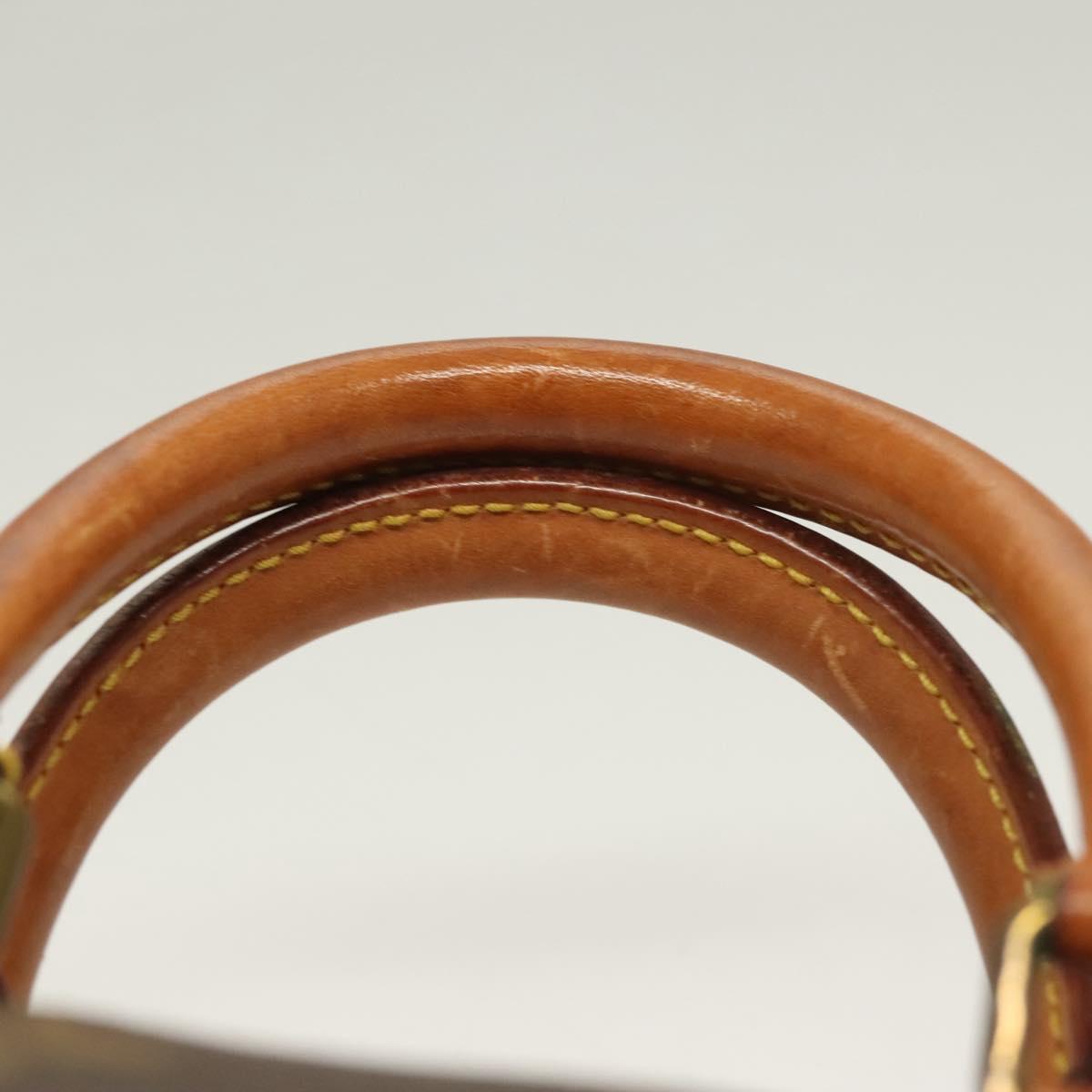 Louis Vuitton Monogram Mini Speedy