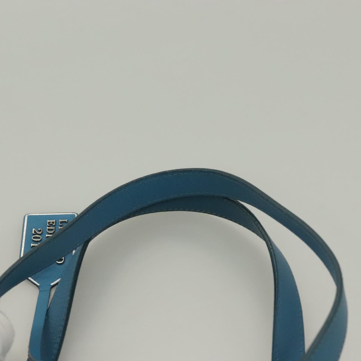 Prada Limited Edition Tote Bag Nylon