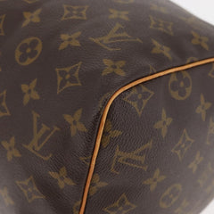 Louis Vuitton Monogram Speedy 30