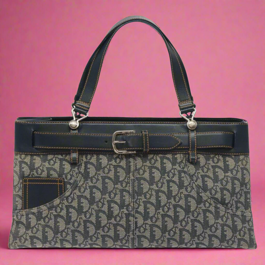 Christian Dior Trotter Canvas Hand Bag Navy