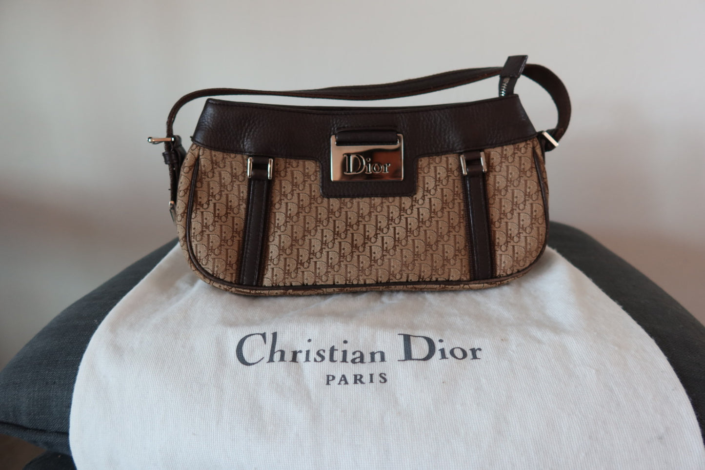 Christian Dior Trotter Handbag