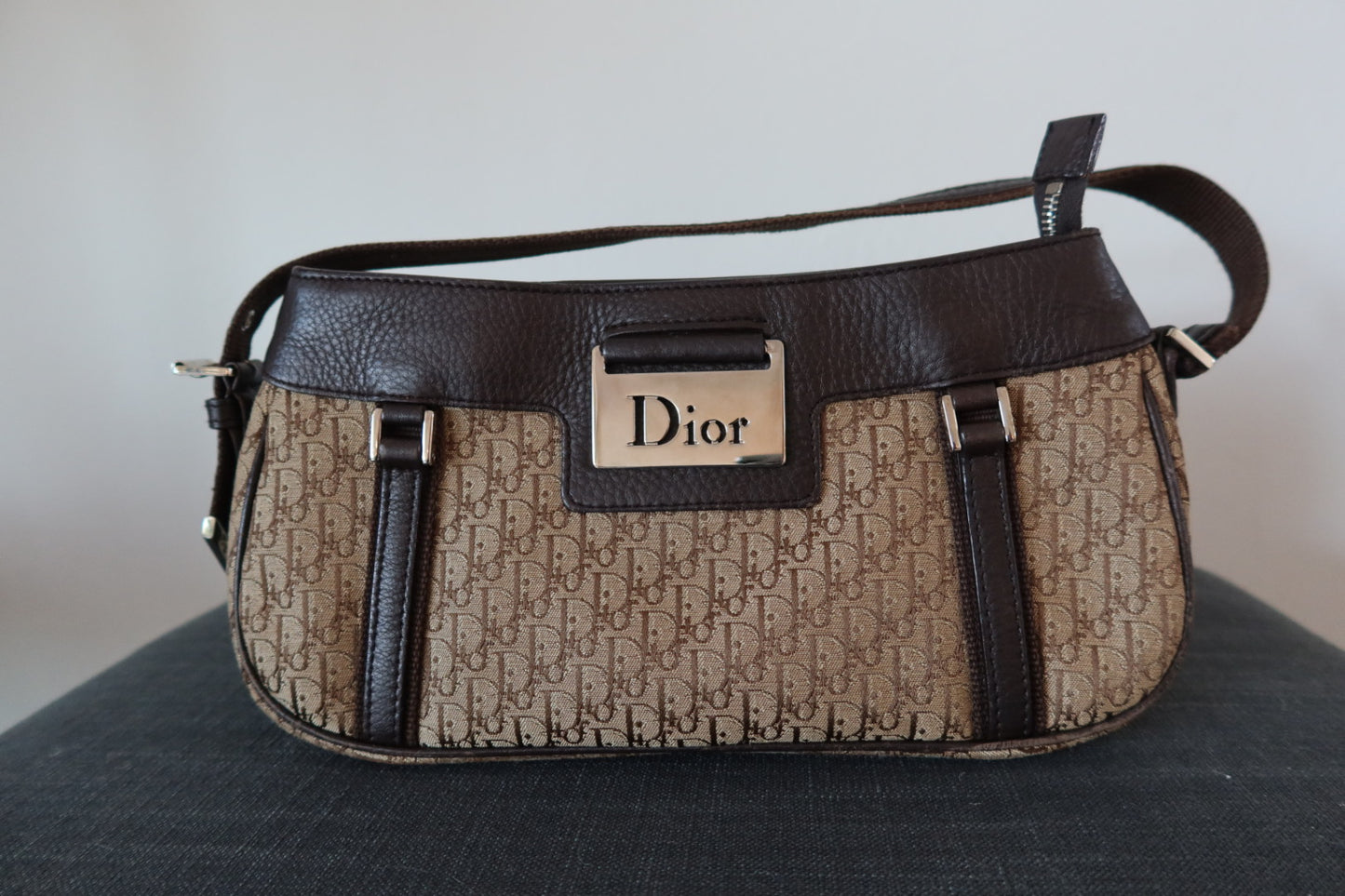 Christian Dior Trotter Handbag