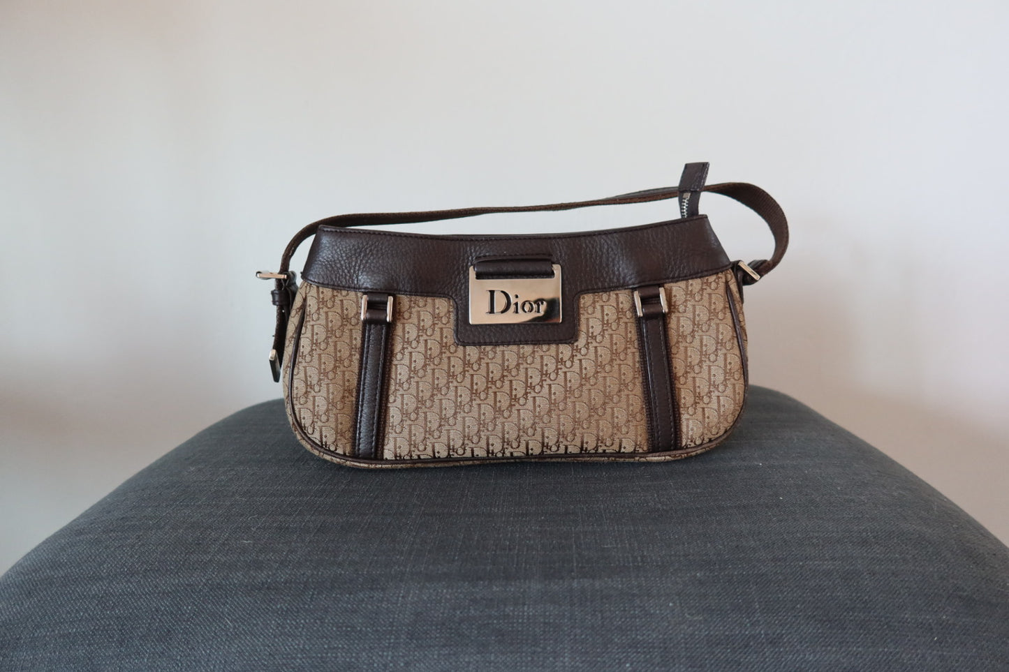 Christian Dior Trotter Handbag