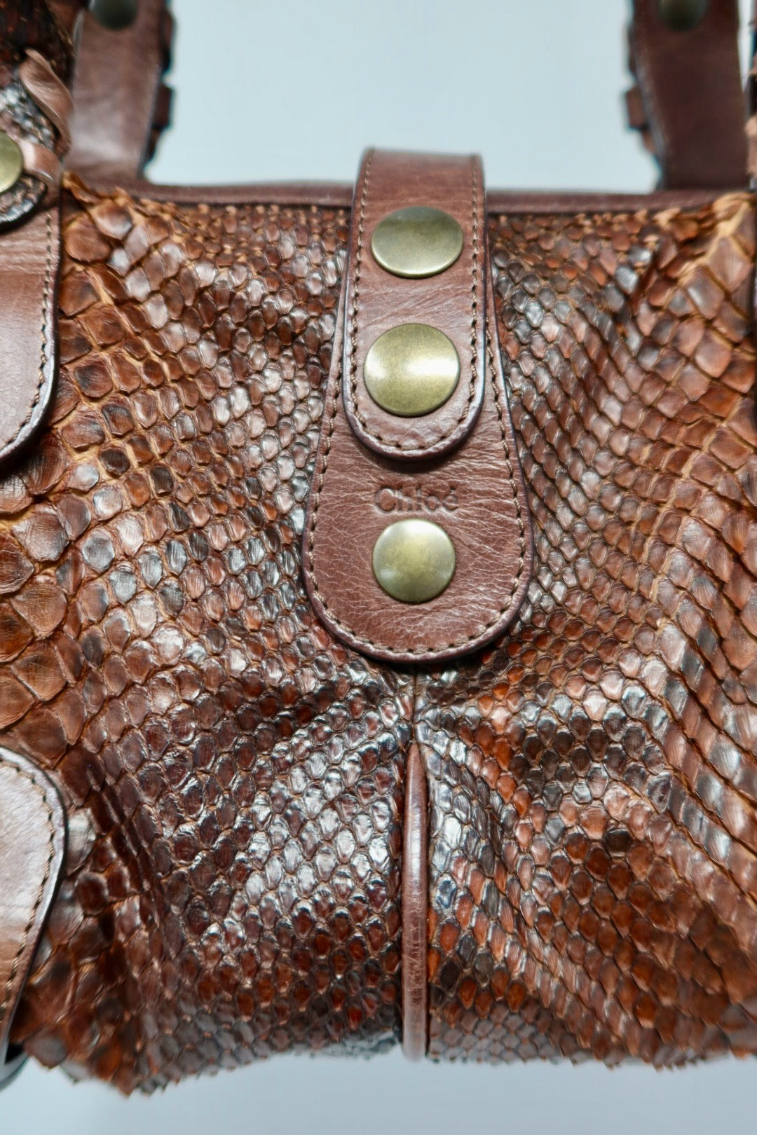 Chloe Python Silverado