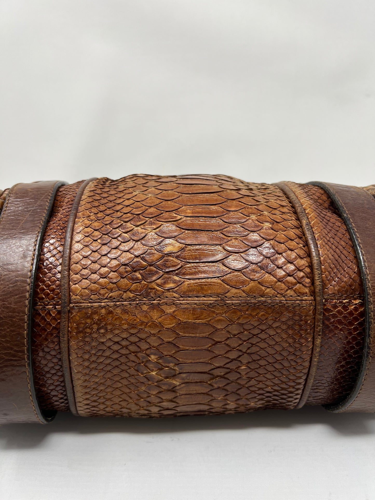 Chloe Python Silverado