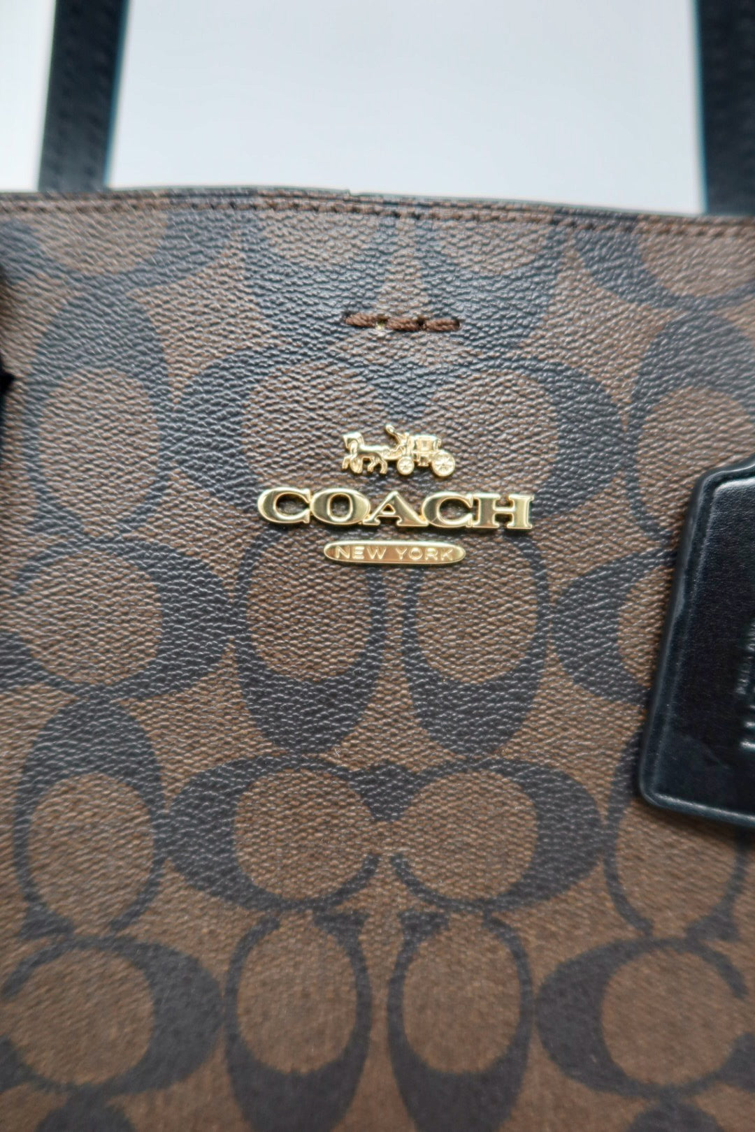 Coach Signature Canvas