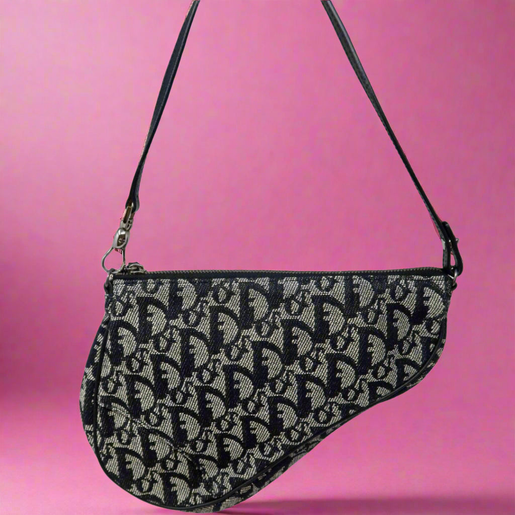 Dior Trotter Medium Saddle (comes with original duster)