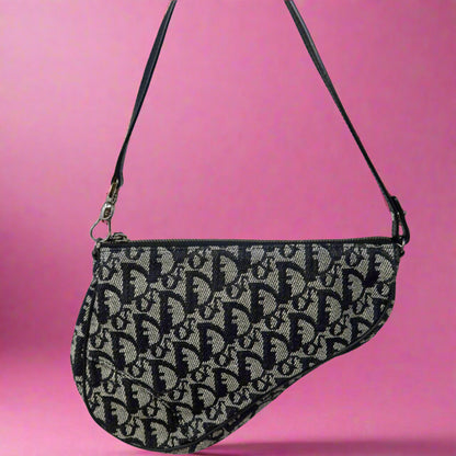 Dior Trotter Medium Saddle (comes with original duster)