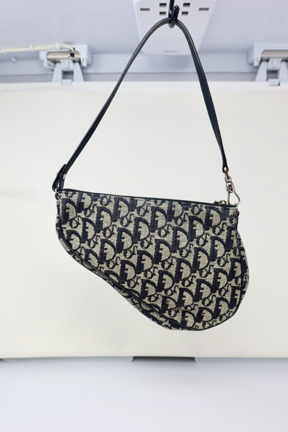 Dior Trotter Medium Saddle (comes with original duster)