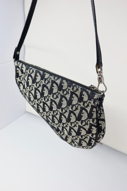 Dior Trotter Medium Saddle (comes with original duster)
