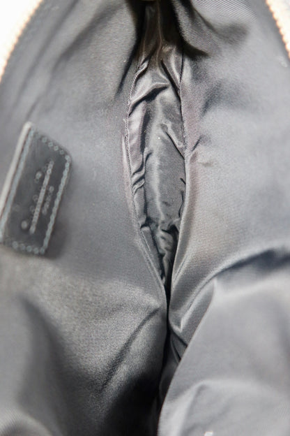Dior Trotter Medium Saddle (comes with original duster)