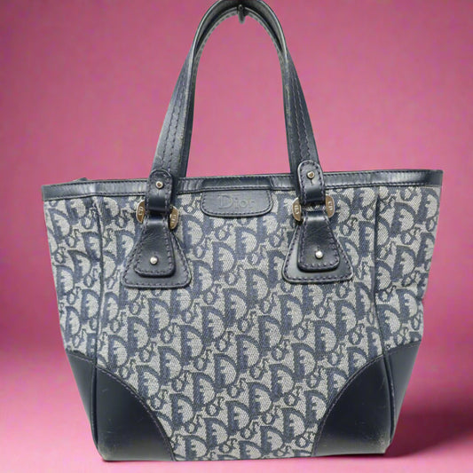 Dior Trotter Tote