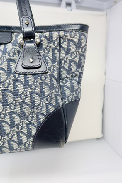 Dior Trotter Tote