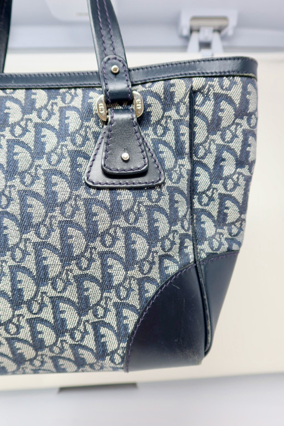 Dior Trotter Tote
