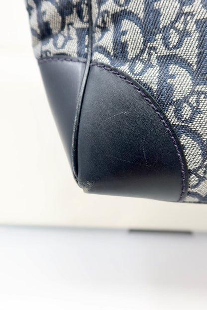 Dior Trotter Tote