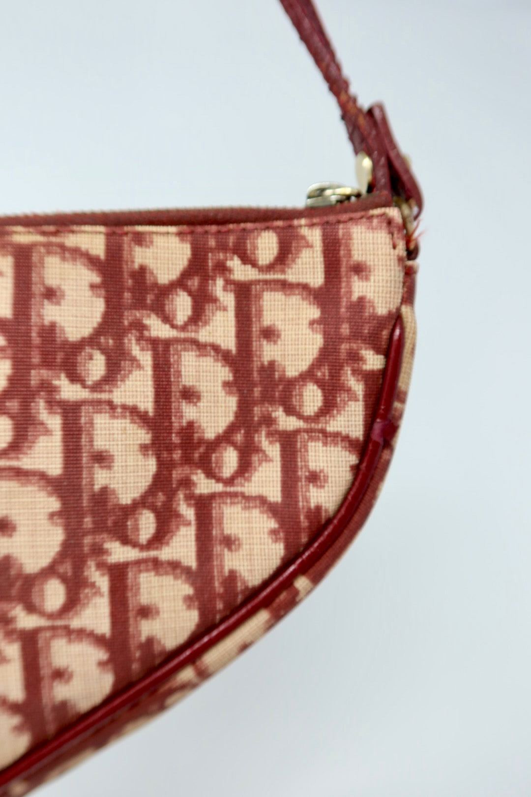 Dior Trotter Saddle Red