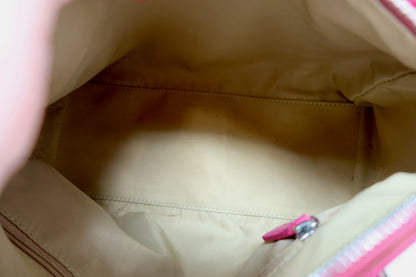 Dior Trotter Street Chic Mini Boston Bag Pink