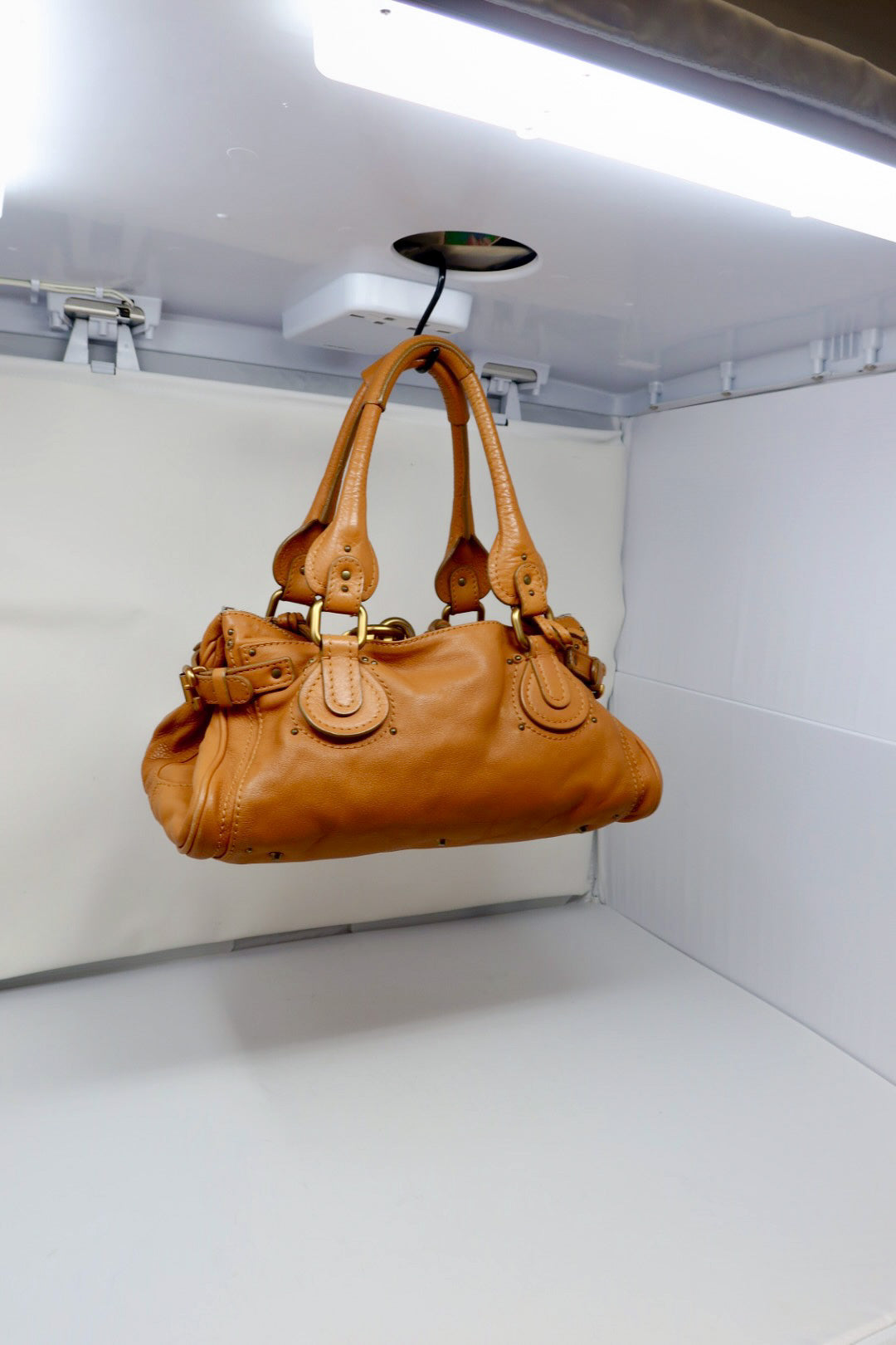 Chloe Paddington Brown