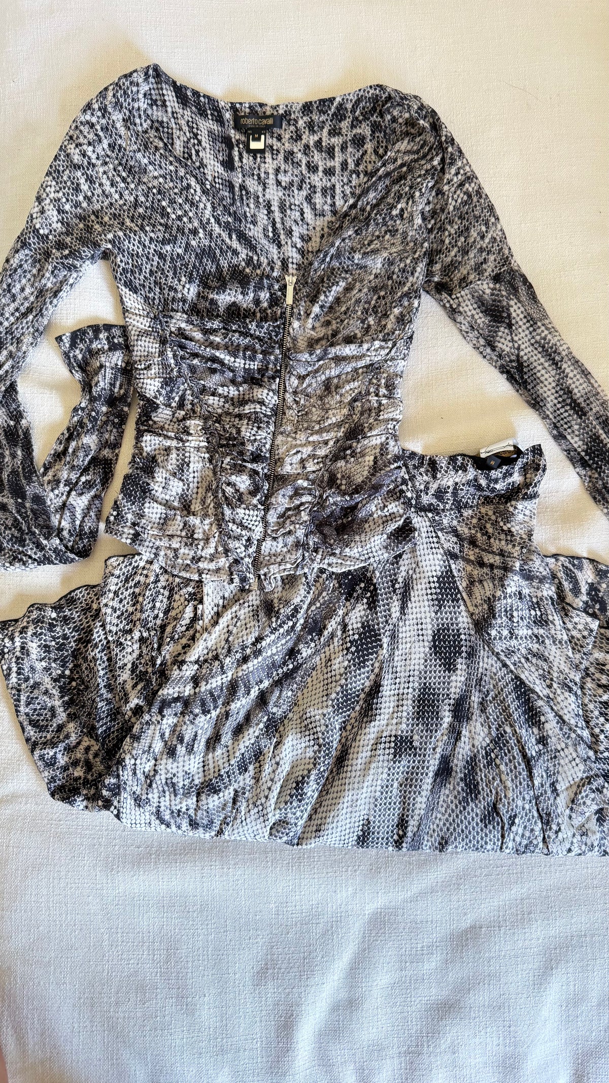 SS2003 Roberto Cavalli  - Snake Print Silk Corset & Skirt Set -Seen in Vogue Italia September 2003 by Steven Meisel