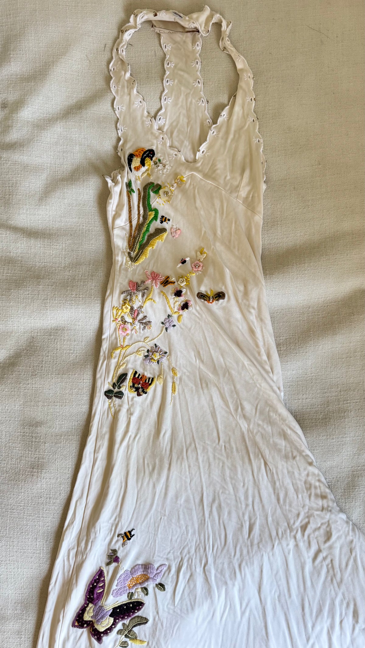 Class Roberto Cavalli Hand-Embroidered Botanical Maxi Dress