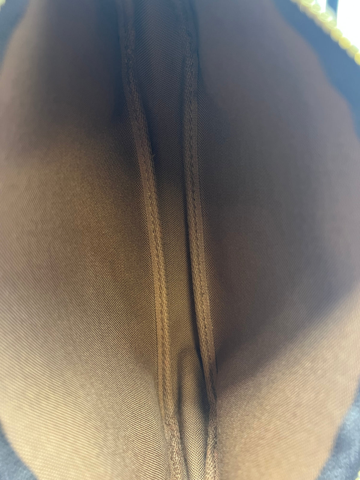 Louis Vuitton Monogram pochette