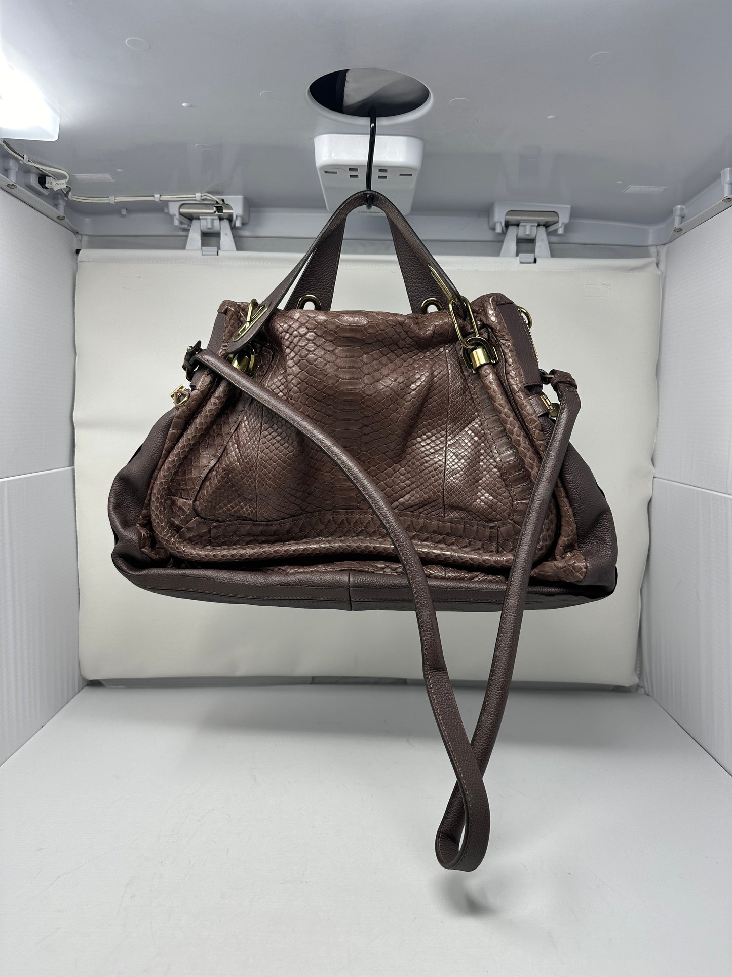 Chloe Paraty Brown Python