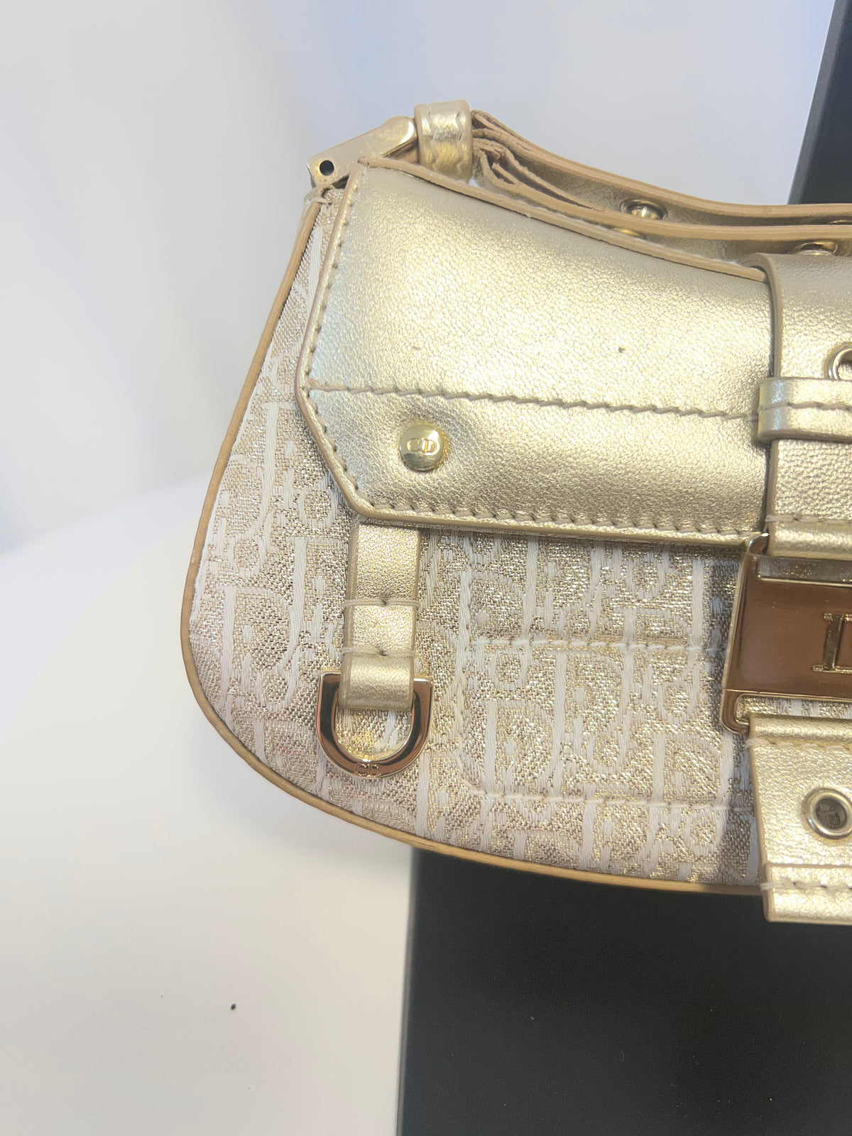 Christian Dior Street Chic Columbus Oblique Clutch - John Galliano Era