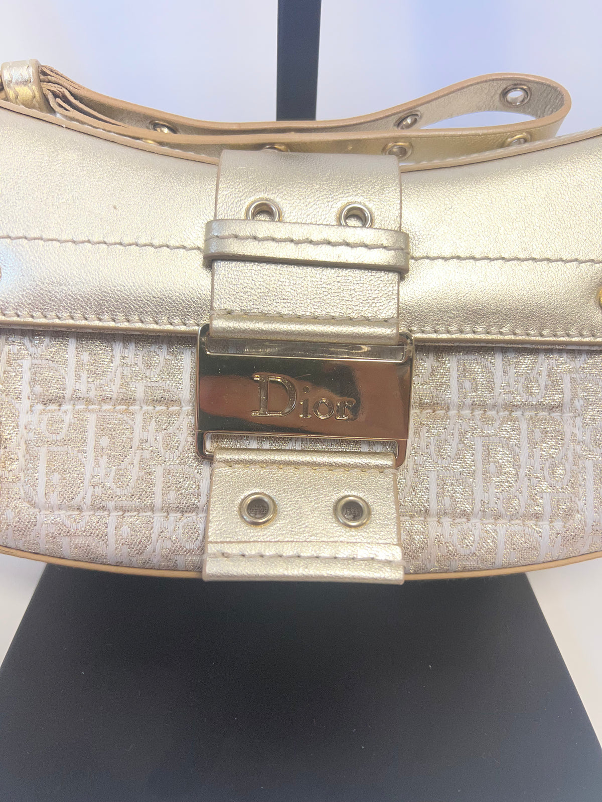 Christian Dior Street Chic Columbus Oblique Clutch - John Galliano Era