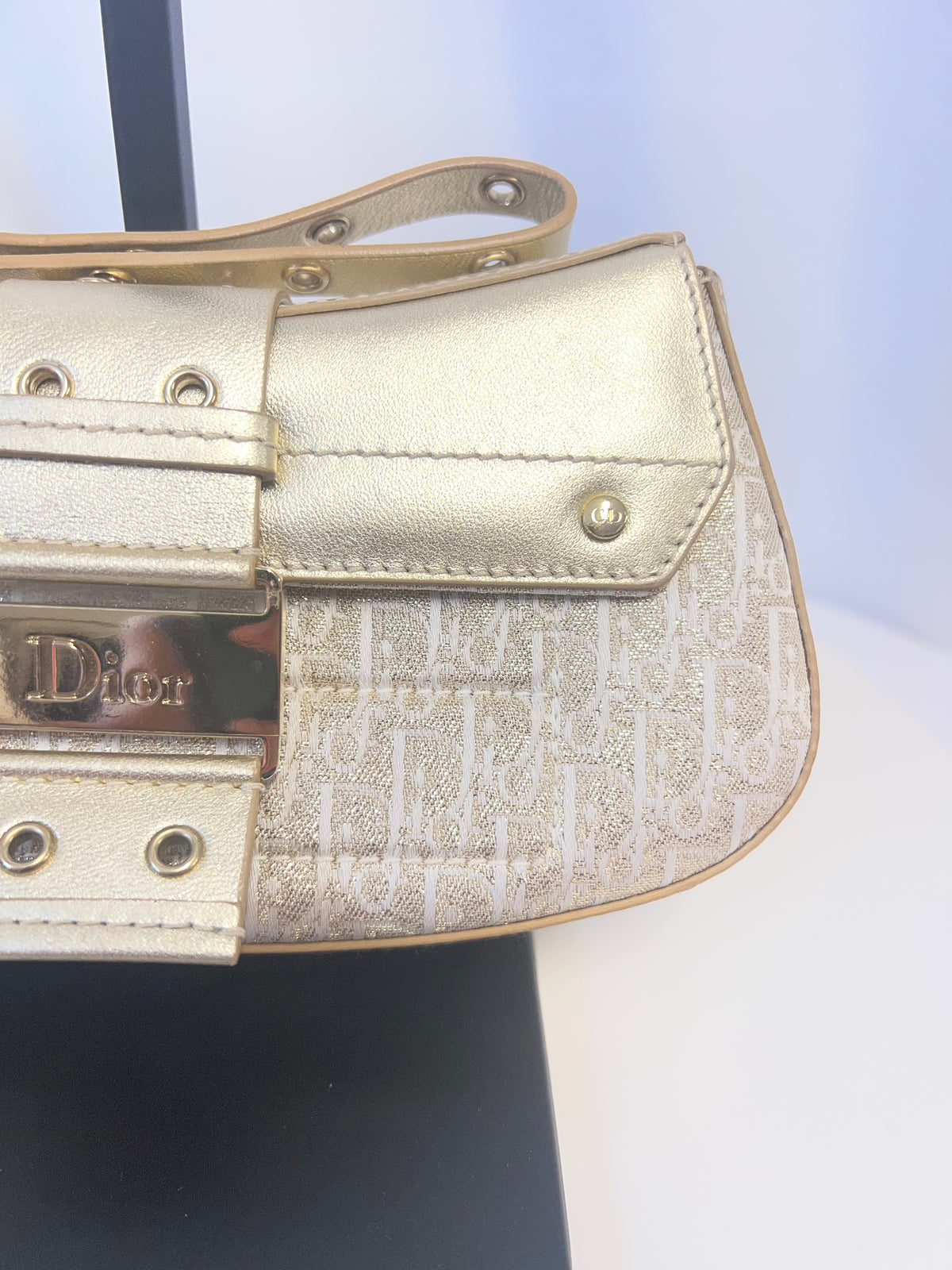 Christian Dior Street Chic Columbus Oblique Clutch - John Galliano Era